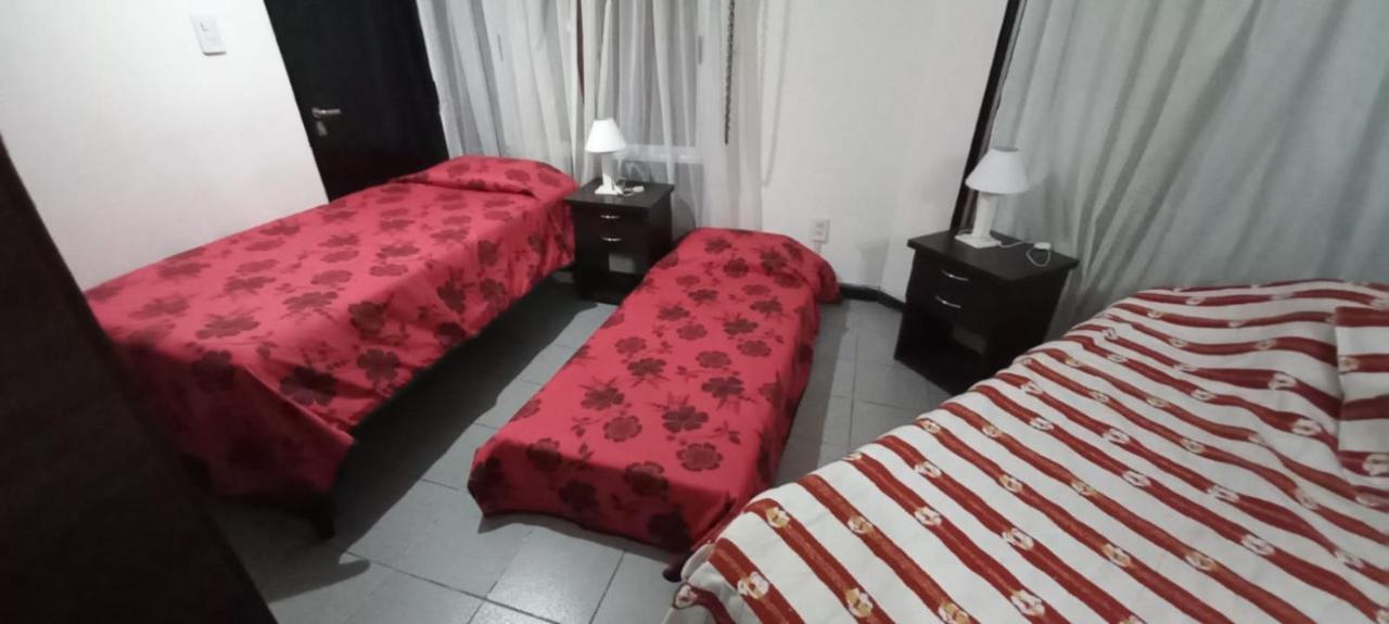 Apartamentos Willy - En Zona Residencial Con Estacionamiento Мендоса Екстериор снимка